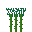 Saltcane-plant.png