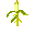 SnapcornPlant.png